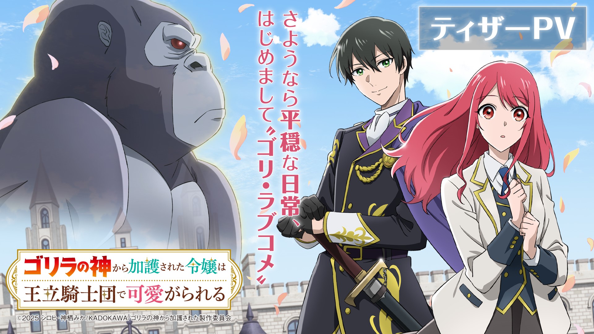 ゴリラの神から加護された令嬢は王立騎士団で可愛がられる Blu-ray BOX Amazon.co.jp: 【Amazon.co.jp限定】ゴリラの神から加護された
